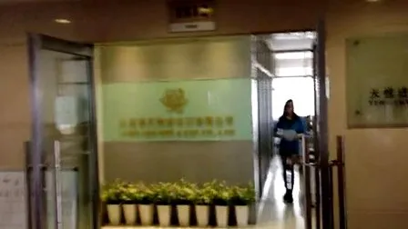 100 % Polyester-Stickgarn 120d/2, 150d/2 5000y